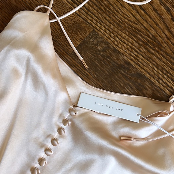 NWT Are You Am I Kaede silk camisole in Blush - Picture 2 of 16
